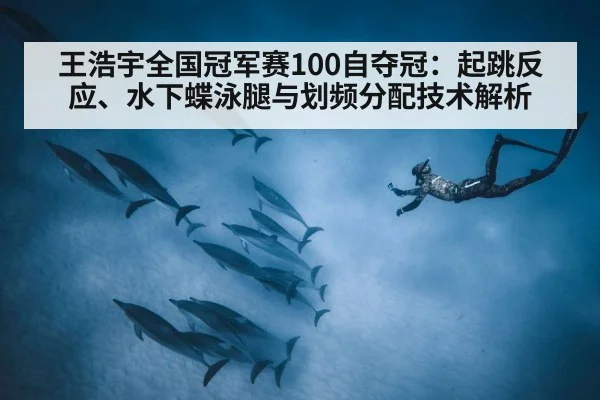 王浩宇全国冠军赛100自夺冠：起跳反应、水下蝶泳腿与划频分配技术解析