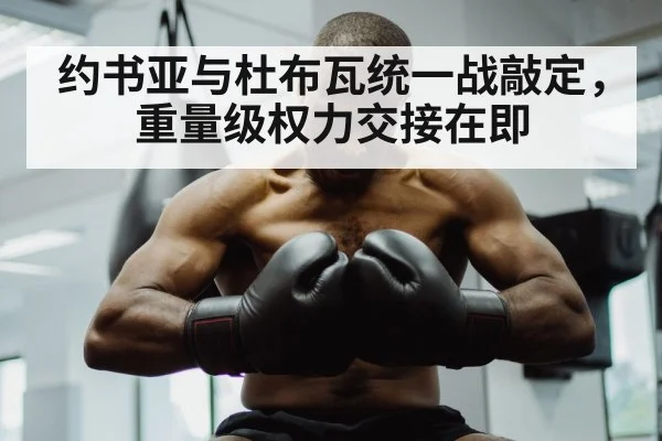 约书亚与杜布瓦统一战敲定，重量级权力交接在即