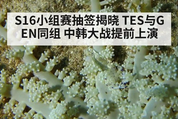 S16小组赛抽签揭晓 TES与GEN同组 中韩大战提前上演